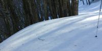 20180128_104228_HDR